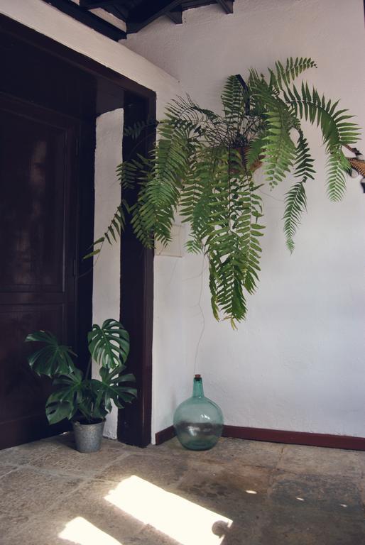 Casa Rural El Palmar Vallehermoso Kültér fotó